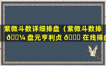 紫微斗数详细排盘（紫微斗数排 🐼 盘元亨利贞 🐞 在线排盘）